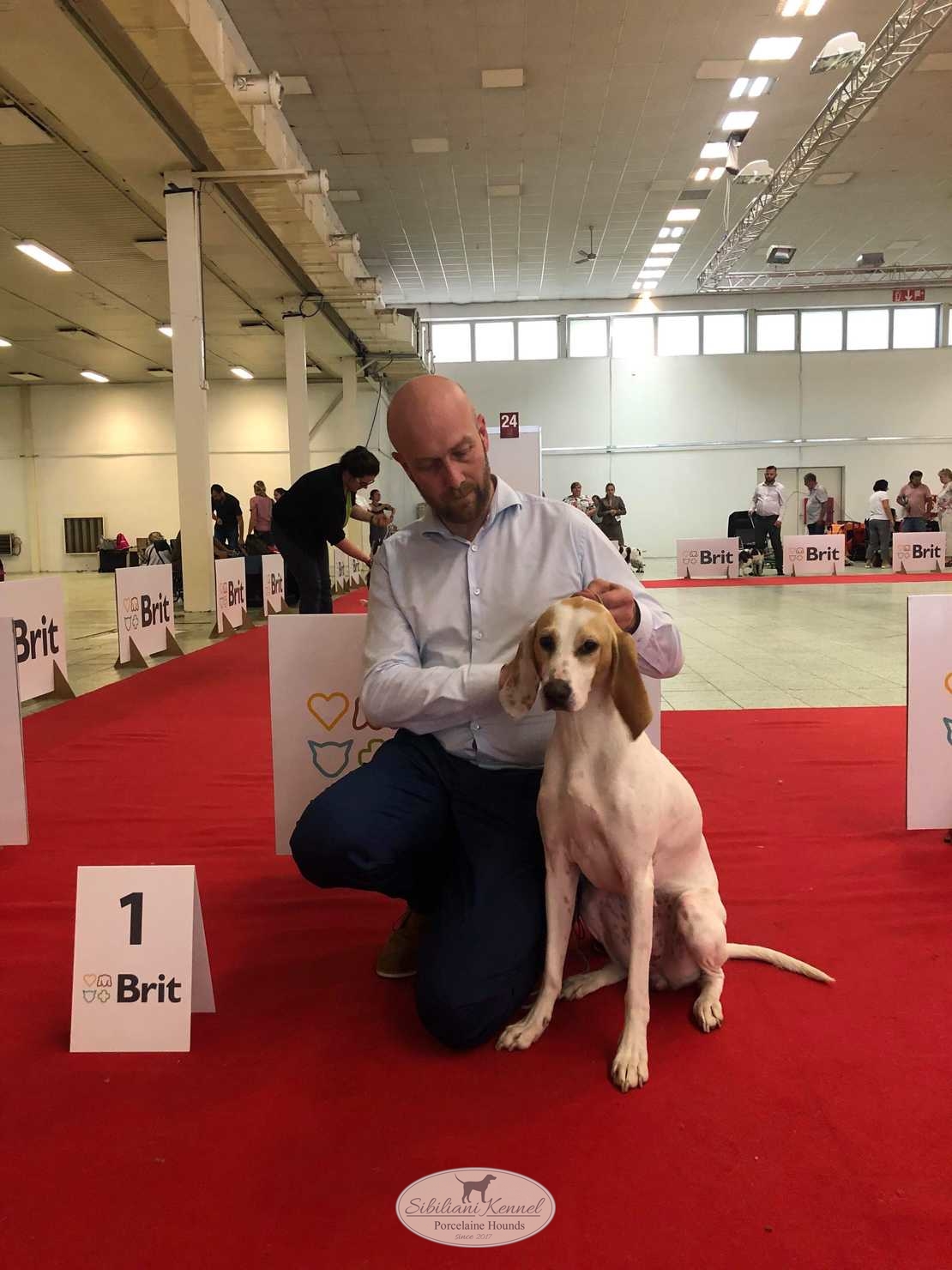 DOG EXPO NITRA-PRESIDENT CUP 7-6-19