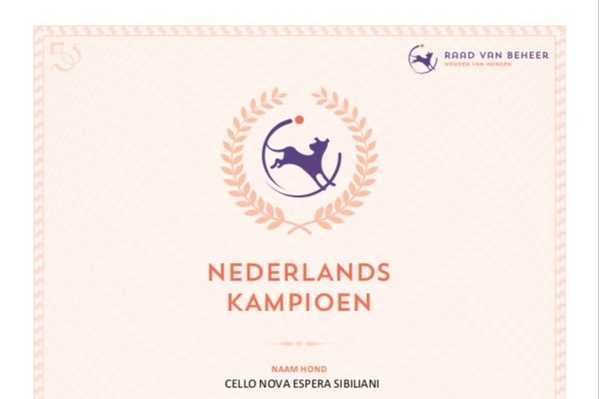Official confirmation of CELLO's DUTCH CHAMPIONSHIP
